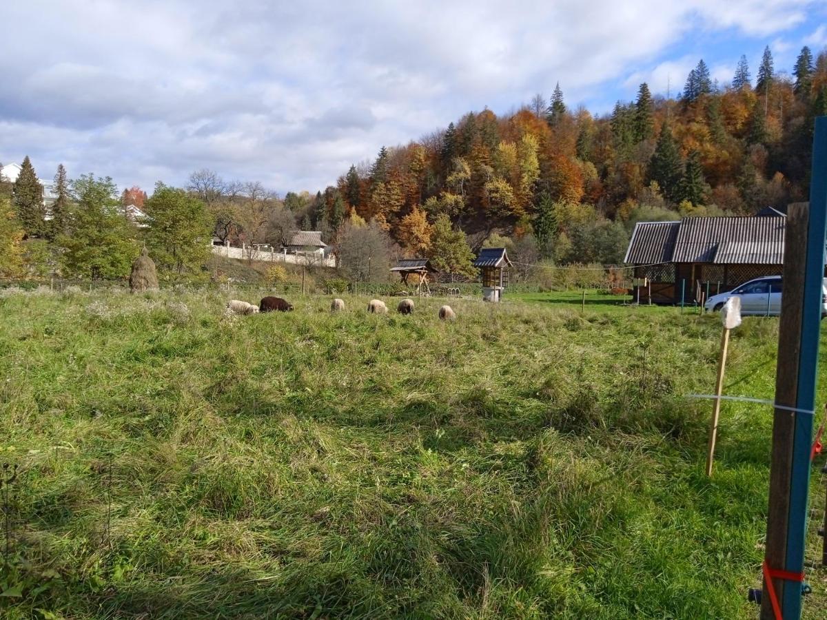 Садиба Федорчуків За Рікою Sheshory Exterior foto